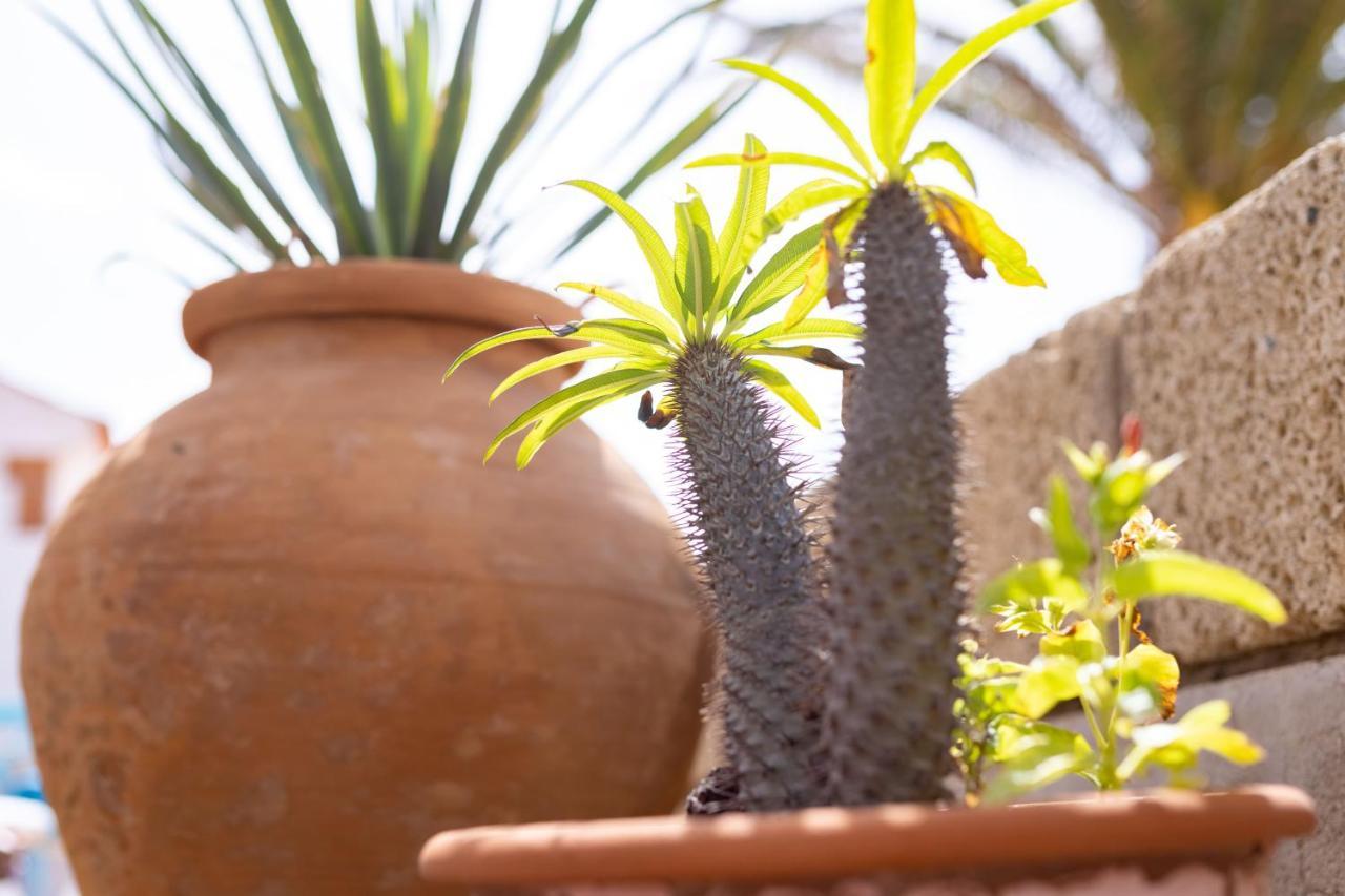 Casa Limon - Ocean View - BBQ - Garden - Terrace - Free Wifi - Child&Pet-Friendly - 2 bedrooms - 6 people Poris de Abona Buitenkant foto